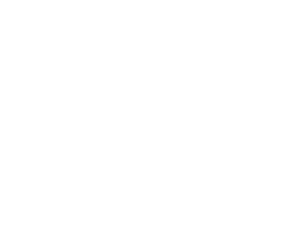 Palsea LLC